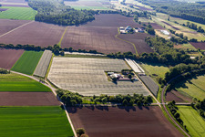 Vue oblique de Asperges et Obsthof Gensheimer à Steinweiler dans le département Rhénanie-Palatinat, Allemagne