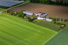 Vue aérienne de Pépinière et fleuriste Hodapp à le quartier Altheim in Frickingen dans le département Bade-Wurtemberg, Allemagne