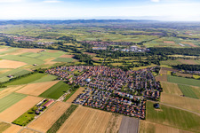 Vue aérienne de Steinweiler dans le département Rhénanie-Palatinat, Allemagne