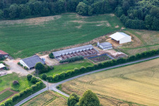 Vue aérienne de Élevage porcin de Cournon en plein air à Saint-Michel-de-Chavaignes dans le département Sarthe, France