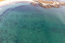 Vue aérienne de Surfeurs attendant la vague devant la plage la Torche-Tronoën à Plomeur dans le département Finistère, France