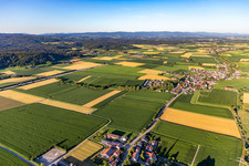 Vue aérienne de Quartier Oberzeitldorn in Kirchroth dans le département Bavière, Allemagne