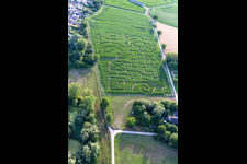 Photographie aérienne de Labyrinthe de maïs à Leimersheim dans le département Rhénanie-Palatinat, Allemagne