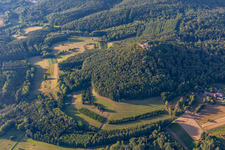 Ruines du château de Lindelbrunn à Vorderweidenthal dans le département Rhénanie-Palatinat, Allemagne hors des airs