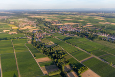 Vue oblique de Quartier Ingenheim in Billigheim-Ingenheim dans le département Rhénanie-Palatinat, Allemagne