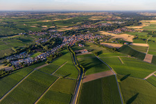 Quartier Ingenheim in Billigheim-Ingenheim dans le département Rhénanie-Palatinat, Allemagne vue d'en haut