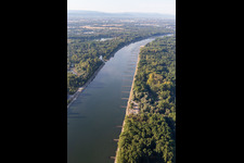 Photographie aérienne de Épis secs dans le Rhin à marée basse à Leimersheim dans le département Rhénanie-Palatinat, Allemagne