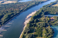 Vue aérienne de Épis et bancs de sable asséchés dans le Rhin en raison des basses eaux à le quartier Neuburg in Neuburg am Rhein dans le département Rhénanie-Palatinat, Allemagne