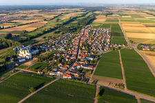 Vue aérienne de Moulin à grains de Cornexo GmbH à Freimersheim dans le département Rhénanie-Palatinat, Allemagne