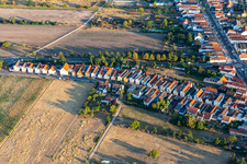 Vue aérienne de Rue Iggelheimer à Haßloch dans le département Rhénanie-Palatinat, Allemagne