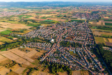 Vue oblique de Quartier Iggelheim in Böhl-Iggelheim dans le département Rhénanie-Palatinat, Allemagne