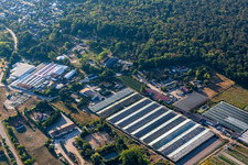 Vue aérienne de Schehlmann pur à Schifferstadt dans le département Rhénanie-Palatinat, Allemagne