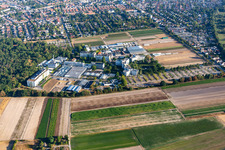 Photographie aérienne de Centre agricole BASF à Limburgerhof dans le département Rhénanie-Palatinat, Allemagne