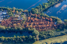 Vue aérienne de Zone de loisirs Bleu Adriatique à Altrip dans le département Rhénanie-Palatinat, Allemagne