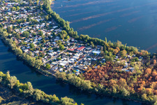 Vue aérienne de Zone de loisirs Blue Adriatic, camping dans la migration des carpes à Altrip dans le département Rhénanie-Palatinat, Allemagne