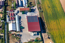 Vue aérienne de Ferme biologique Kugelmann à Kandel dans le département Rhénanie-Palatinat, Allemagne