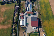 Vue aérienne de Ferme biologique Kugelmann à Kandel dans le département Rhénanie-Palatinat, Allemagne
