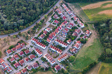 Vue aérienne de Dans le bec à Wörth am Rhein dans le département Rhénanie-Palatinat, Allemagne