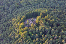 Vue aérienne de Château de la forêt à Klingenmünster dans le département Rhénanie-Palatinat, Allemagne