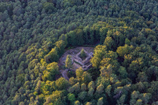 Vue aérienne de Château forestier à Klingenmünster dans le département Rhénanie-Palatinat, Allemagne