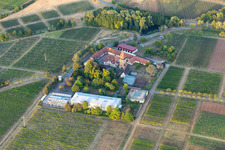 Vue aérienne de Institut JKI de sélection de raisins de Geilweilerhof à Siebeldingen dans le département Rhénanie-Palatinat, Allemagne