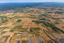 Vue aérienne de Palatinat du Sud incendié à Schweighofen dans le département Rhénanie-Palatinat, Allemagne