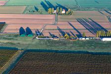 AVIOSUPERFICIE CASTELLAZZO école de vol à voile à Reggio nell’Emilia dans le département Reggio Emilia, Italie