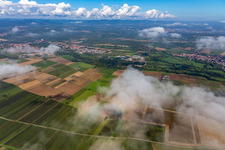 Vue d'oiseau de Quartier Billigheim in Billigheim-Ingenheim dans le département Rhénanie-Palatinat, Allemagne