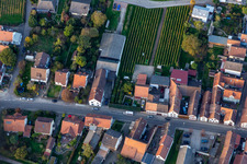 Vue aérienne de Rue Haupt à Göcklingen dans le département Rhénanie-Palatinat, Allemagne