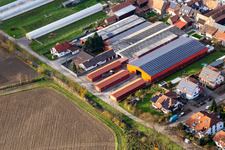 Vue aérienne de À l'Otterbach à Neupotz dans le département Rhénanie-Palatinat, Allemagne