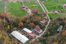 Vue aérienne de Moulin de Wanzheim à Rheinzabern dans le département Rhénanie-Palatinat, Allemagne