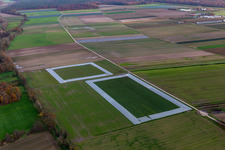 Photographie aérienne de Champs de salades avec du papier d'aluminium à le quartier Minderslachen in Kandel dans le département Rhénanie-Palatinat, Allemagne
