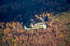 Vue aérienne de Ruines du château de Neuscharfeneck vues du sud à Flemlingen dans le département Rhénanie-Palatinat, Allemagne