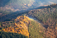 Vue aérienne de Site de décollage de parapente de Duddeflecher à Frankweiler dans le département Rhénanie-Palatinat, Allemagne