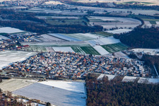 Vue aérienne de Aux carrières d'argile en hiver quand il y a de la neige à Rheinzabern dans le département Rhénanie-Palatinat, Allemagne