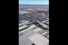 Vue aérienne de Du sud-est en hiver quand il y a de la neige à le quartier Offenbach in Offenbach an der Queich dans le département Rhénanie-Palatinat, Allemagne