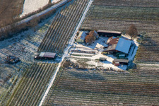 Vue aérienne de Asperges et ferme fruitière de Gensheimer en hiver avec de la neige à Steinweiler dans le département Rhénanie-Palatinat, Allemagne