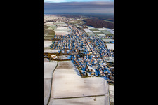 Vue aérienne de De l'ouest en hiver quand il y a de la neige à Freckenfeld dans le département Rhénanie-Palatinat, Allemagne