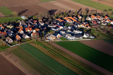 Vue aérienne de Rue de la Chapelle à Niederlauterbach dans le département Bas Rhin, France
