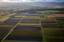 Quartier Mühlhofen in Billigheim-Ingenheim dans le département Rhénanie-Palatinat, Allemagne vue du ciel