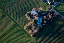 Vue aérienne de Bioland viticulture sous le toit en herbe à le quartier Wollmesheim in Landau in der Pfalz dans le département Rhénanie-Palatinat, Allemagne