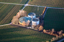Vue aérienne de Stockage d'eau potable dans les vignes à le quartier Arzheim in Landau in der Pfalz dans le département Rhénanie-Palatinat, Allemagne
