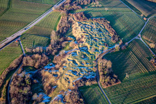 Vue aérienne de Réserve naturelle de Kleine Kalmit à le quartier Arzheim in Landau in der Pfalz dans le département Rhénanie-Palatinat, Allemagne