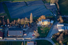 Vue aérienne de Champ solaire à Hainbachtal à Böchingen dans le département Rhénanie-Palatinat, Allemagne