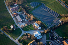 Vue aérienne de Champ solaire à Hainbachtal à Böchingen dans le département Rhénanie-Palatinat, Allemagne