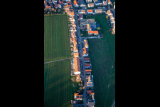 Vue aérienne de Schanzstraße à Edenkoben dans le département Rhénanie-Palatinat, Allemagne