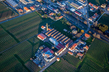 Vue aérienne de Renault Autohaus Schreieck GmbH devant le domaine viticole Albert Götz KG à Kirrweiler dans le département Rhénanie-Palatinat, Allemagne