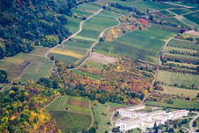 Vue aérienne de De Sonnenberg à Schweigen à Wissembourg dans le département Bas Rhin, France