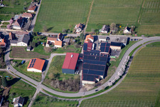 Photographie aérienne de Domaine viticole Emil Wissing GmbH à Oberotterbach dans le département Rhénanie-Palatinat, Allemagne