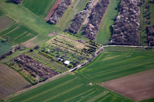 Vue aérienne de Pépinière à Schweighofen dans le département Rhénanie-Palatinat, Allemagne